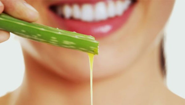 خواص آلوورا برای پوست