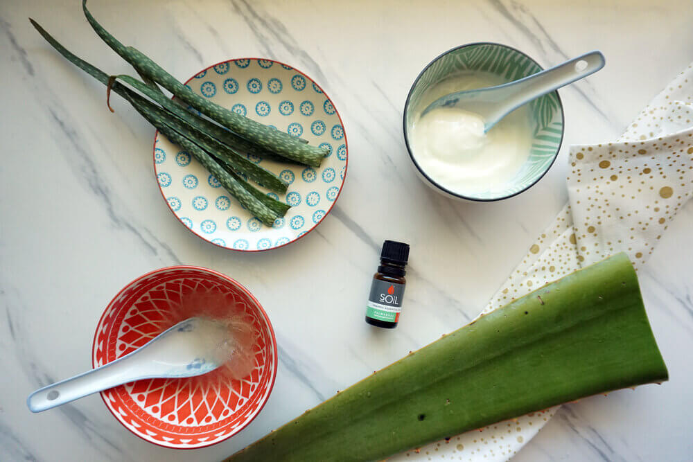 ترکیب آلوئه ورا با ماست