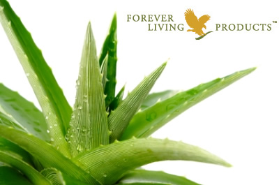 آلوئه ورا پایه اصلی محصولات فوراور ایران