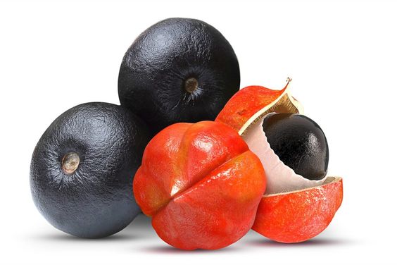 گیاه گوارانا در فوراور اکتیو بوست طبیعی