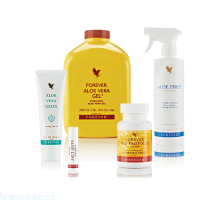 گزیدگی (نیش حشرات)