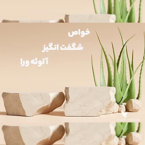 خواص آلوئه ورا: همه چیز در مورد این گیاه شگفت انگیز