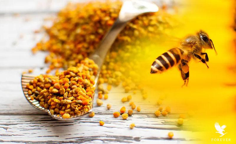 پروپولیس چیست؟ معرفی کامل، خواص، کاربردها